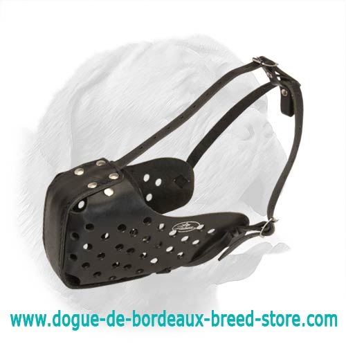 Heavy Duty Leather Muzzle with Front Part Reinforcement for Dogue de Bordeaux