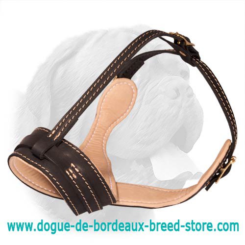 Royal Integrity Dogue de Bordeaux Nappa Padded Leather Muzzle