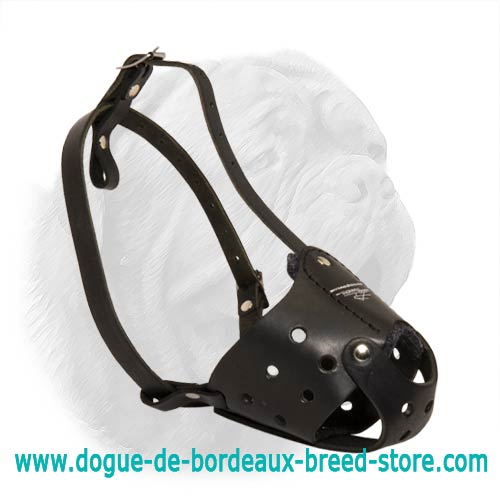 Everyday Dogue de Bordeaux Stylish Leather muzzle - Click Image to Close