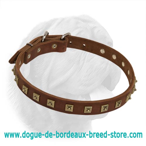 Even Pyramidal Spikes Decorated Leather Collar for Dogue de Bordeaux