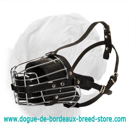 Full Padded Everyday Wire Muzzle for Dogue de Bordeaux