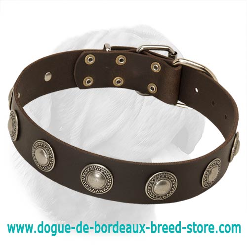 Exquisite Wide Leather Collar with Silver Conchos for Dogue de Bordeaux