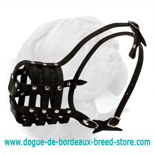 Everyday Light Weight Super Ventilation Muzzle