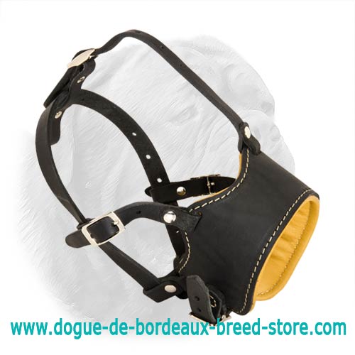 Dogue de Bordeaux Open Ended Nappa Padded Leather Muzzle - Click Image to Close