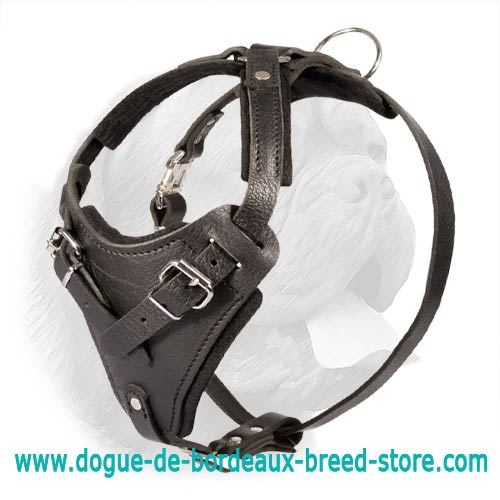 Exclusive Handcrafted Leather Harness for Protection or Agitation Work - Click Image to Close