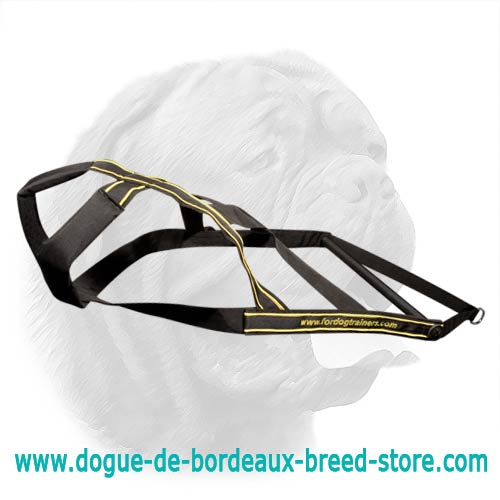 Weight Pulling / Heavy Freighting / Sledding Harness for French Mastiff