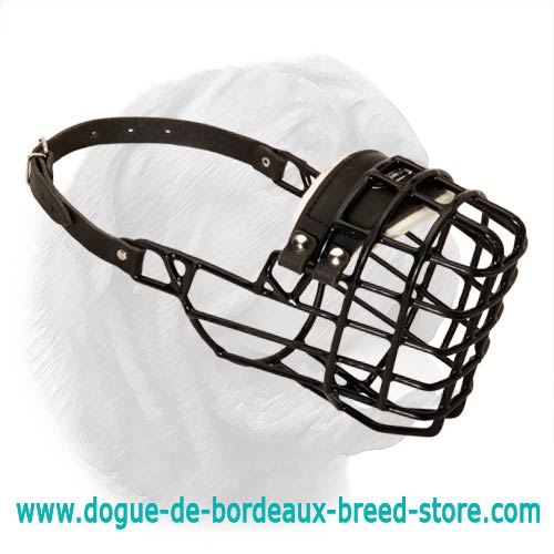 Black Rubber-Covered Antifreeze Winter Muzzle
