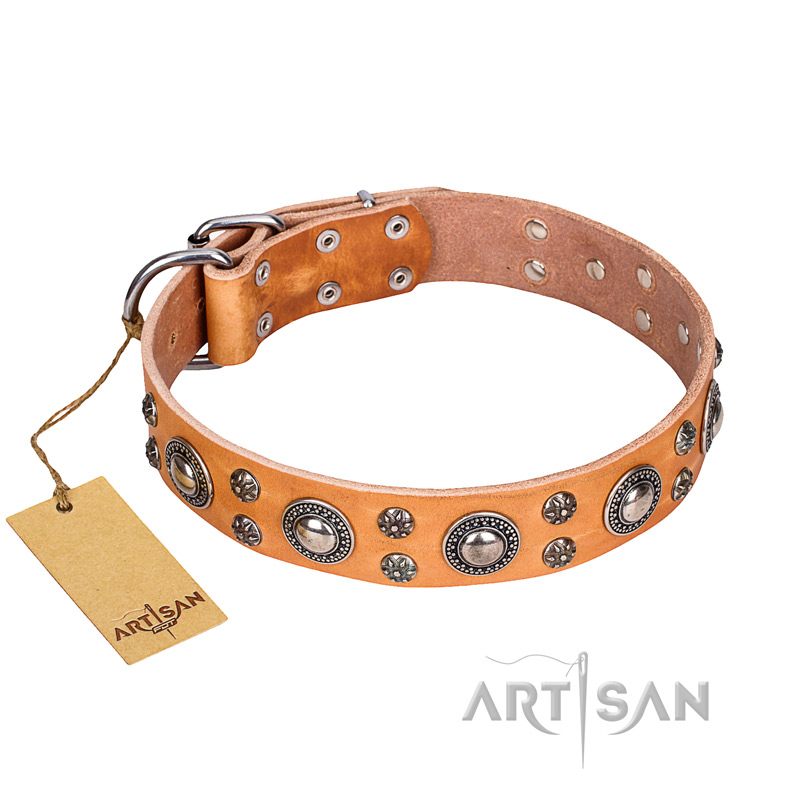 'Extra Sparkle' FDT Artisan Handcrafted Dogue de Bordeaux Tan Leather Dog Collar