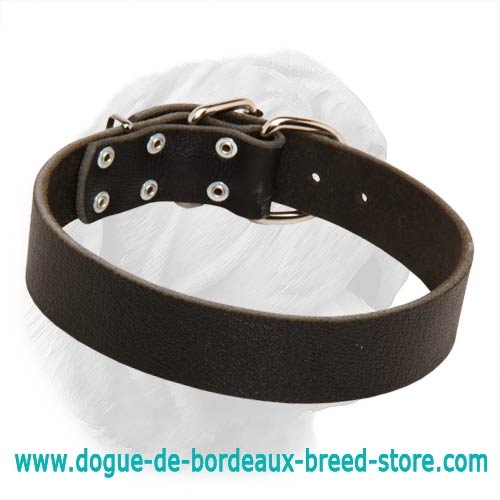 1 1/2 Inches Wide Plain Design Leather Collar for Dogue de Bordeaux