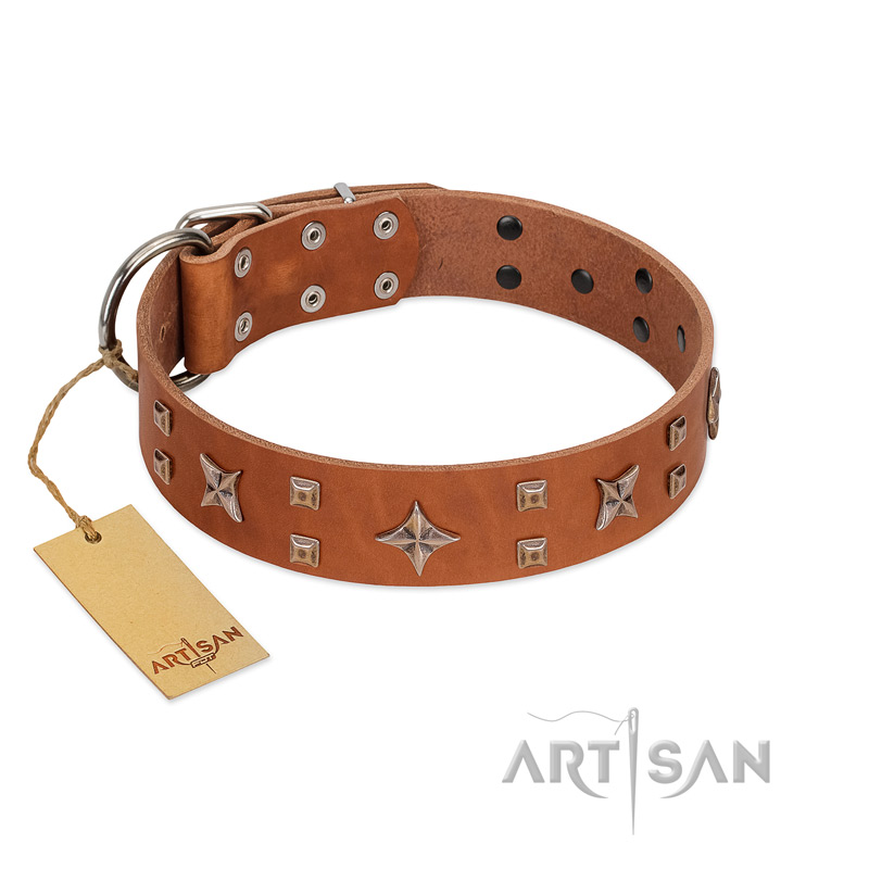 "Dreamy Gleam" FDT Artisan Tan Leather Dogue de Bordeaux Collar Adorned with Stars and Squares