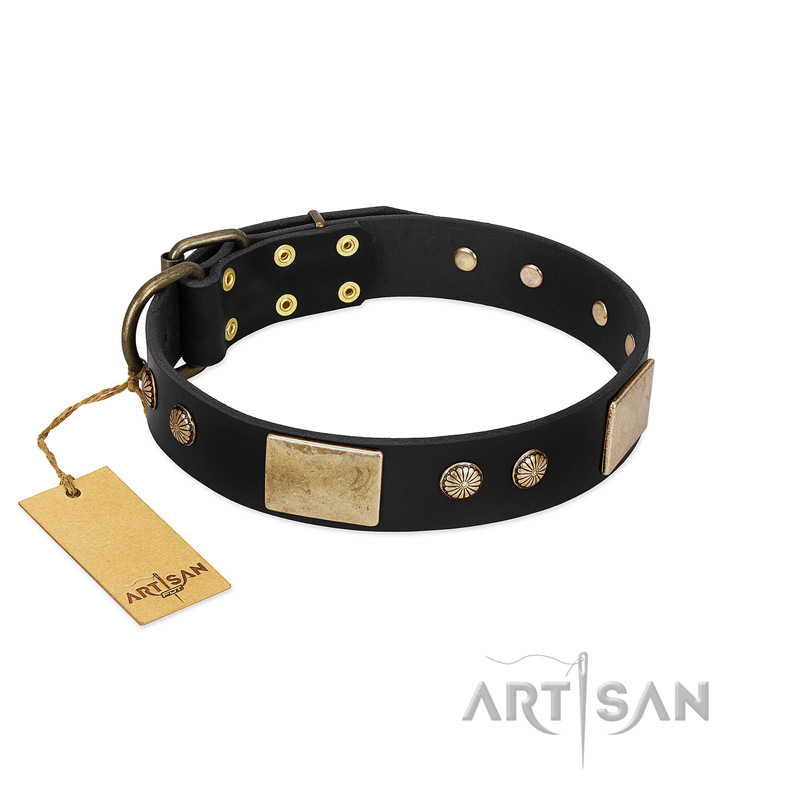 "Antique Gloss" FDT Artisan Black Leather Dogue de Bordeaux Collar with Bronze-like Plates and Small Studs
