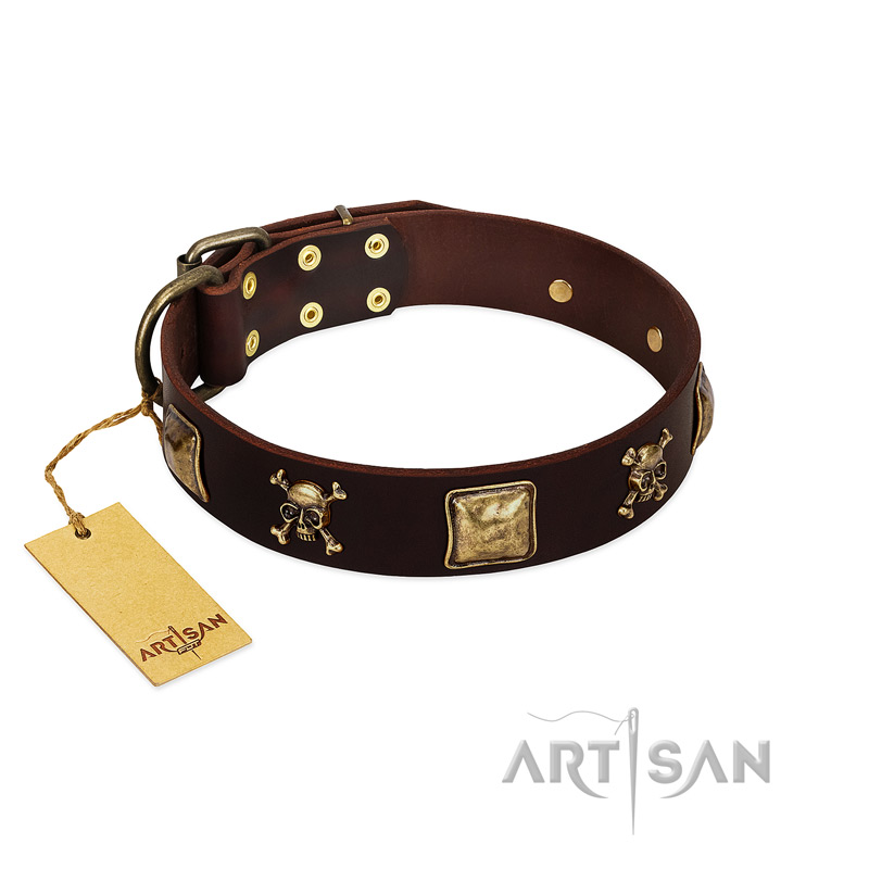 "Crazy Pirate" FDT Artisan Brown Leather Dogue de Bordeaux Collar with Old Bronze-Plated Skulls and Plates