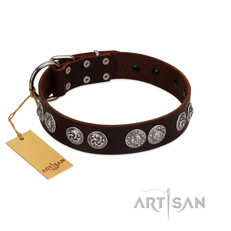 "High and Mighty" FDT Artisan Classy Brown Leather Dogue de Bordeaux Collar with Embellished Brooches