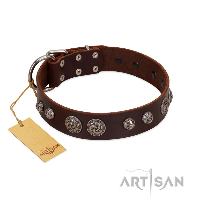 "Choco Brownie" FDT Artisan Brown Leather Dogue de Bordeaux Collar Adorned with Silver-Like Conchos - Click Image to Close