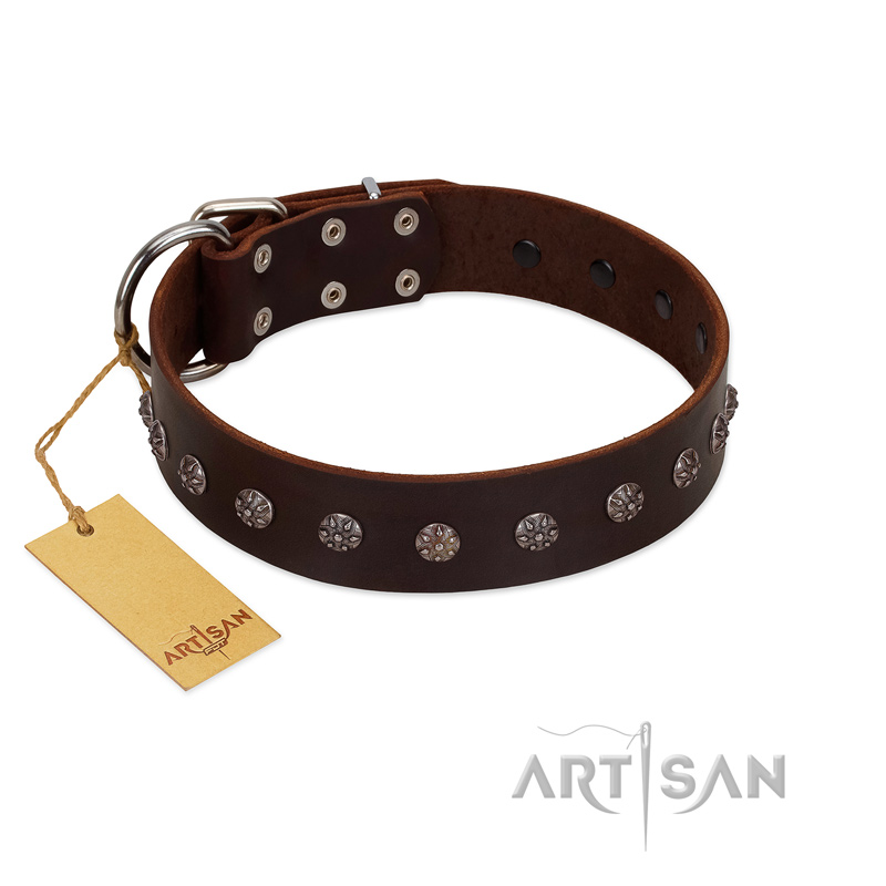 "Graceful Classic" Mod FDT Artisan Brown Leather Dogue de Bordeaux Collar