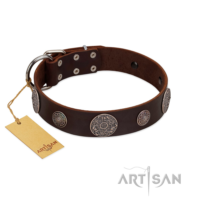 "Flashy Woof" FDT Artisan Brown Leather Dogue de Bordeaux Collar with Chrome Plated Brooches