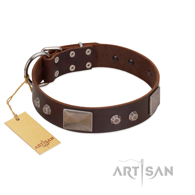 "Stone Stars" Stylish Handmade FDT Artisan Brown Leather Dogue de Bordeaux Collar
