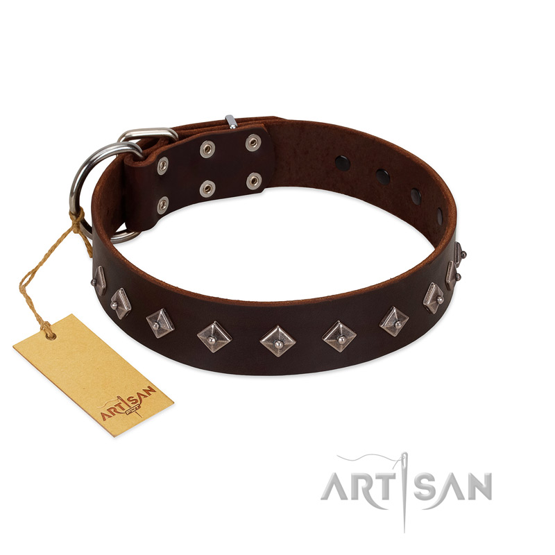 "Boundless Energy" Premium Quality FDT Artisan Brown Designer Leather Dogue de Bordeaux Collar with Small Pyramids