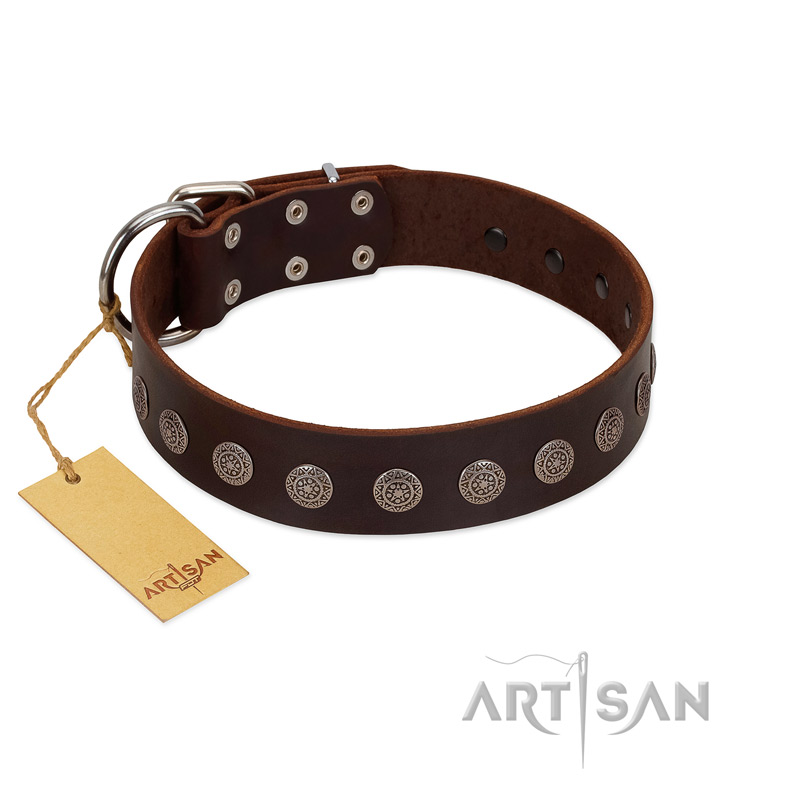 "Starry-Eyed" Best Quality FDT Artisan Brown Designer Leather Dogue de Bordeaux Collar with Small Plates