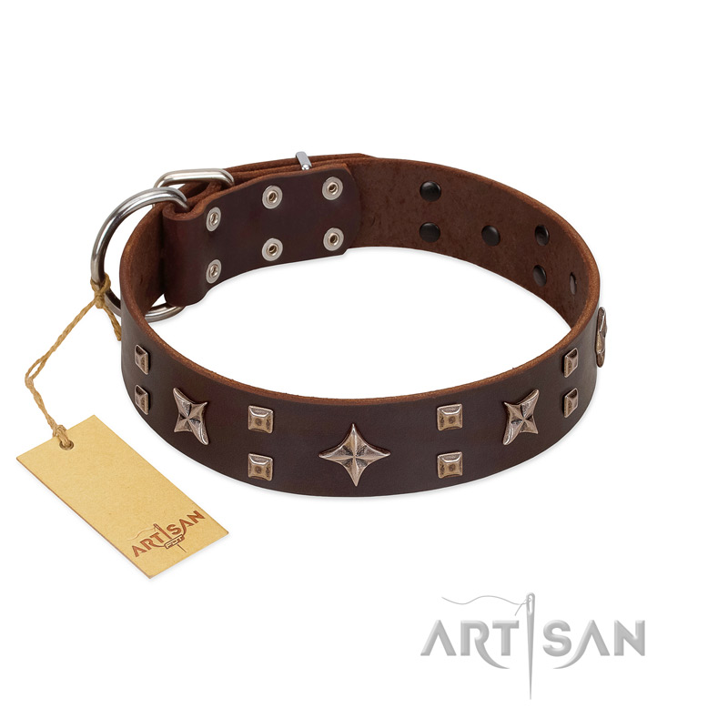 "Stars in Sands" Modern FDT Artisan Brown Leather Dogue de Bordeaux Collar with Studs and Stars