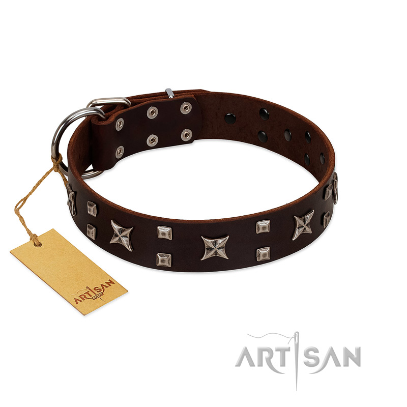 "Bigwig Woof" FDT Artisan Brown Leather Dogue de Bordeaux Collar with Chrome Plated Stars and Square Studs