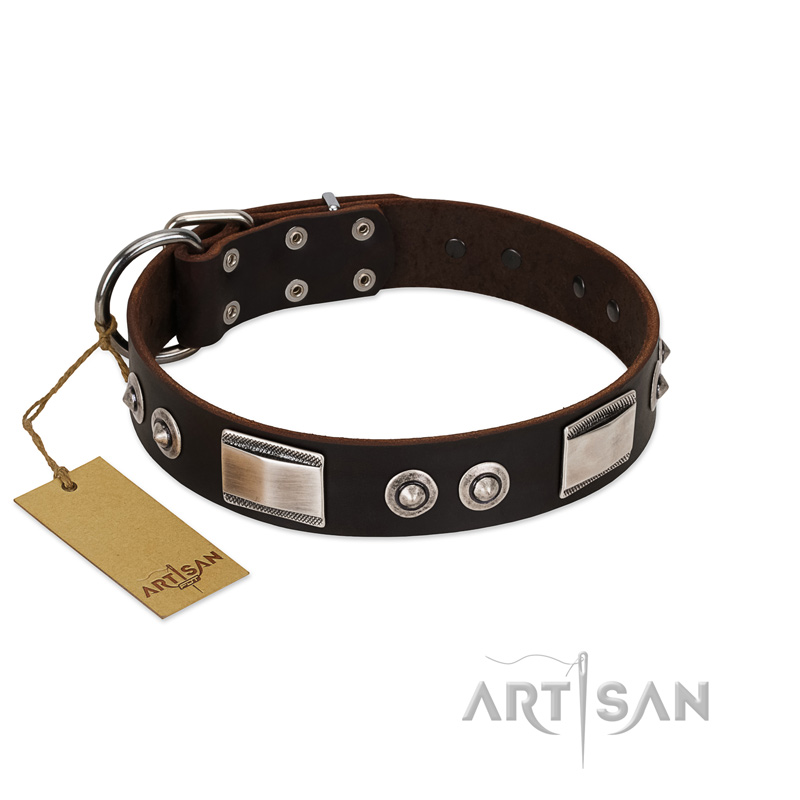 "Baller Status" FDT Artisan Brown Leather Dogue de Bordeaux Collar Adorned with a Set of Chrome Plated Studs and Plates