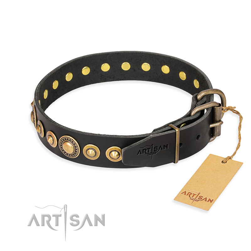 "Gold Mine" FDT Artisan Black Leather Dogue de Bordeaux Collar with Amazing Bronze-Plated Round Studs