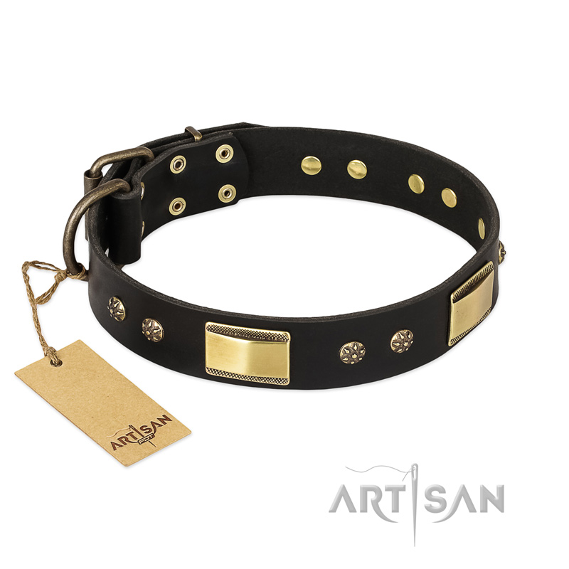 "Black Sun" FDT Artisan Leather Dogue de Bordeaux Collar with Brass Plated Decorations - Click Image to Close