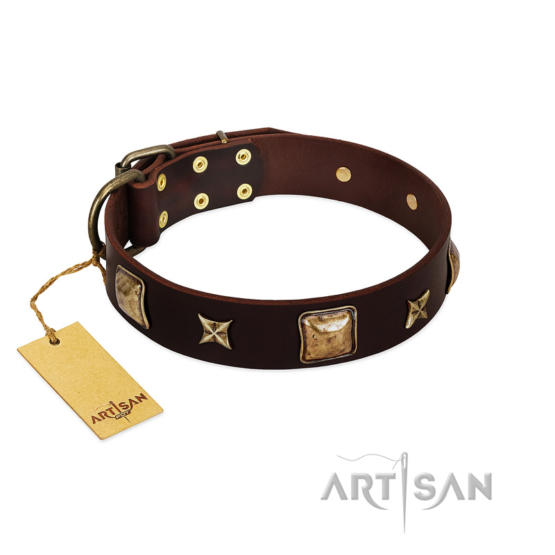 "Choco Dreams" FDT Artisan Brown Leather Dogue de Bordeaux Collar with Squares and Stars - Click Image to Close