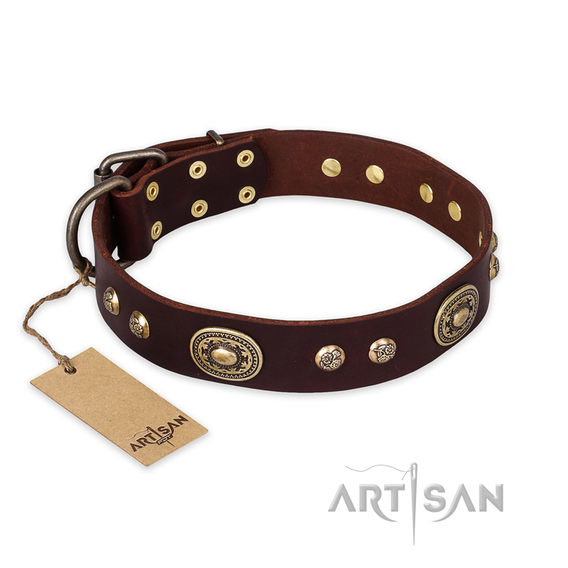 "Breath of Elegance" FDT Artisan Decorated with Plates Brown Leather Dogue de Bordeaux Collar