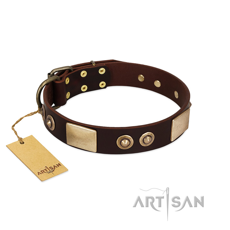 "Sense of Freedom" FDT Artisan Brown Leather Dogue de Bordeaux Collar with Old Bronze-Plated Studs and Plates