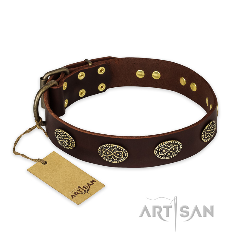 "Chocolate kiss" FDT Artisan Leather Dogue de Bordeaux Collar with Old Bronze Look Oval Plates - Click Image to Close