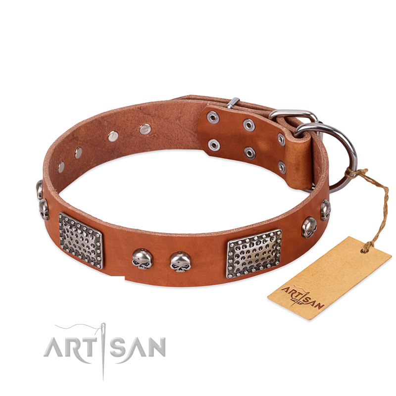 "Sparkling Skull" FDT Artisan Tan Leather Dogue de Bordeaux Collar with Old Silver Look Plates and Skulls - Click Image to Close