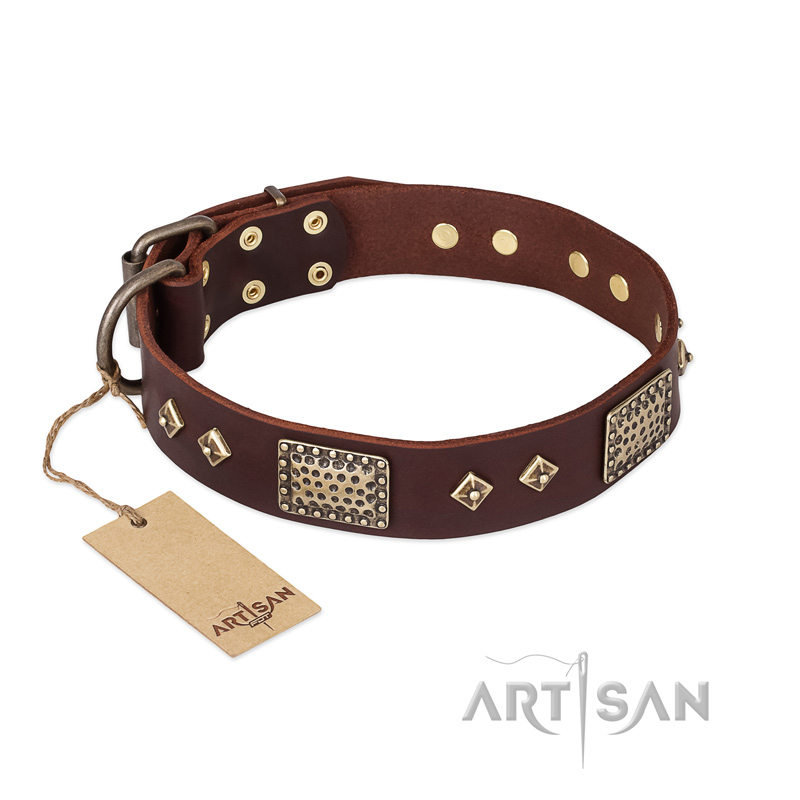 "Loving Owner" FDT Artisan Decorated Leather Dogue de Bordeaux Collar with Plates and Studs