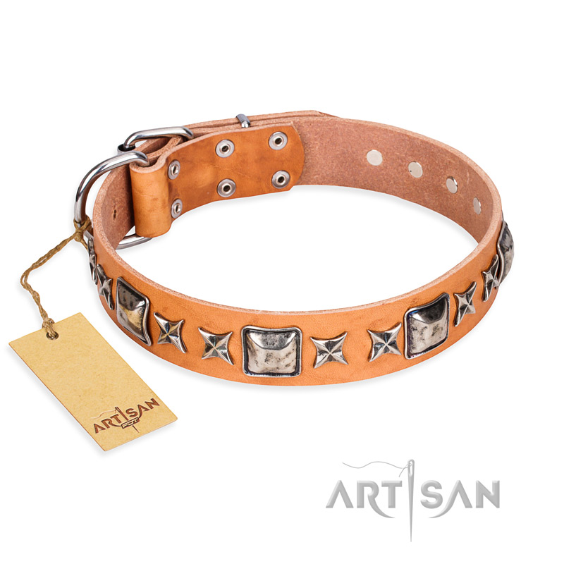 "Glamour Finery" FDT Artisan Female Dogue de Bordeaux collar of natural leather with stylish old-looking circles