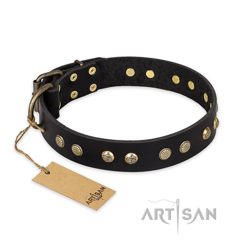 "Black Elegance" FDT Artisan Leather Dogue de Bordeaux Collar with Round Studs