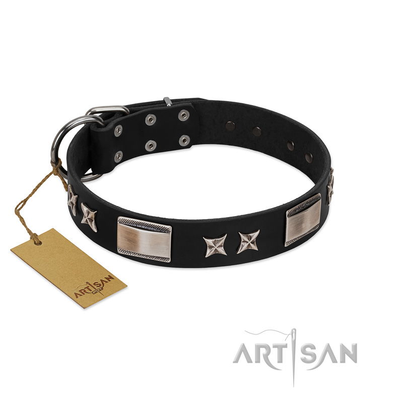 "Pitch Dark" FDT Artisan Black Leather Dogue de Bordeaux Collar with Stars and Plates
