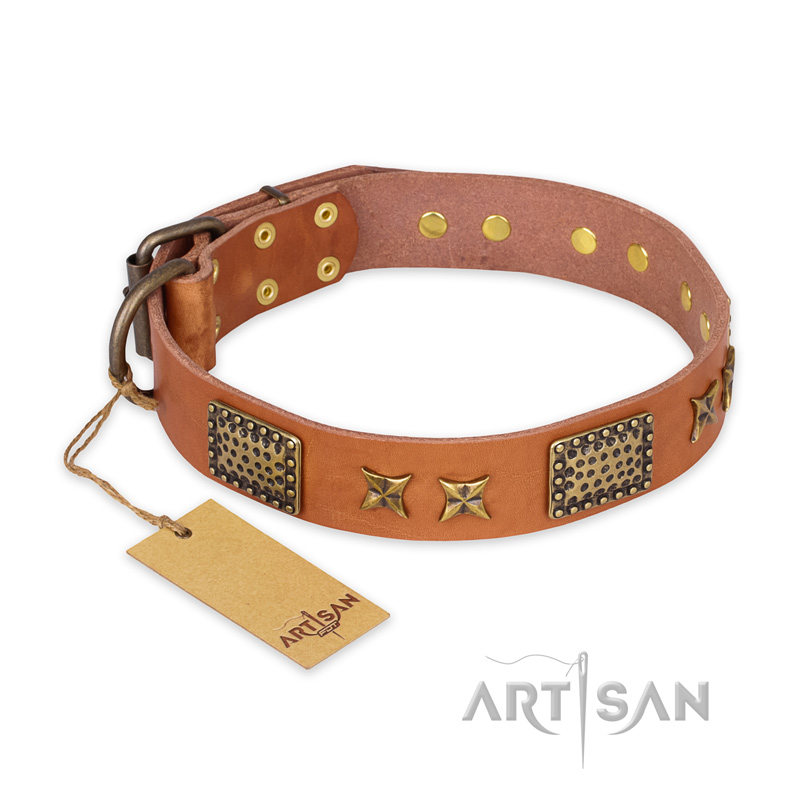 "Cosmic Traveller" FDT Artisan Adorned Leather Dogue de Bordeaux Collar with Old Bronze-Plated Stars and Plates