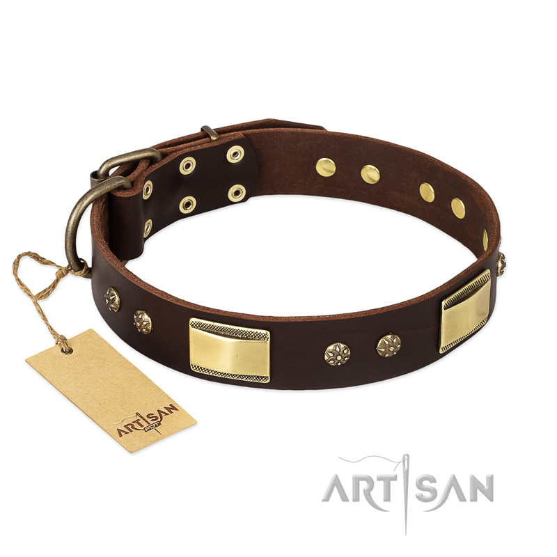 "Rich Fashion" FDT Artisan Decorated Leather Dogue de Bordeaux Collar with Plates and Studs