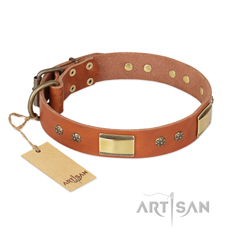 "Enchanting Spectacle" FDT Artisan Tan Leather Dogue de Bordeaux Collar with Old Bronze Look Plates and Round Studs