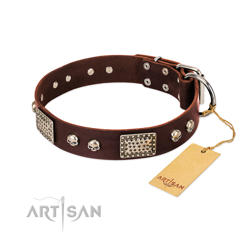 "Pirate Skull" FDT Artisan Brown Leather Dogue de Bordeaux Collar with Old Silver Look Plates and Skulls - Click Image to Close