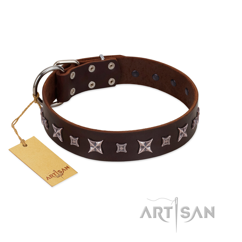 "Stellar Fairy " FDT Artisan Brown Leather Dogue de Bordeaux Collar with Chrome-plated Star-like Decorations
