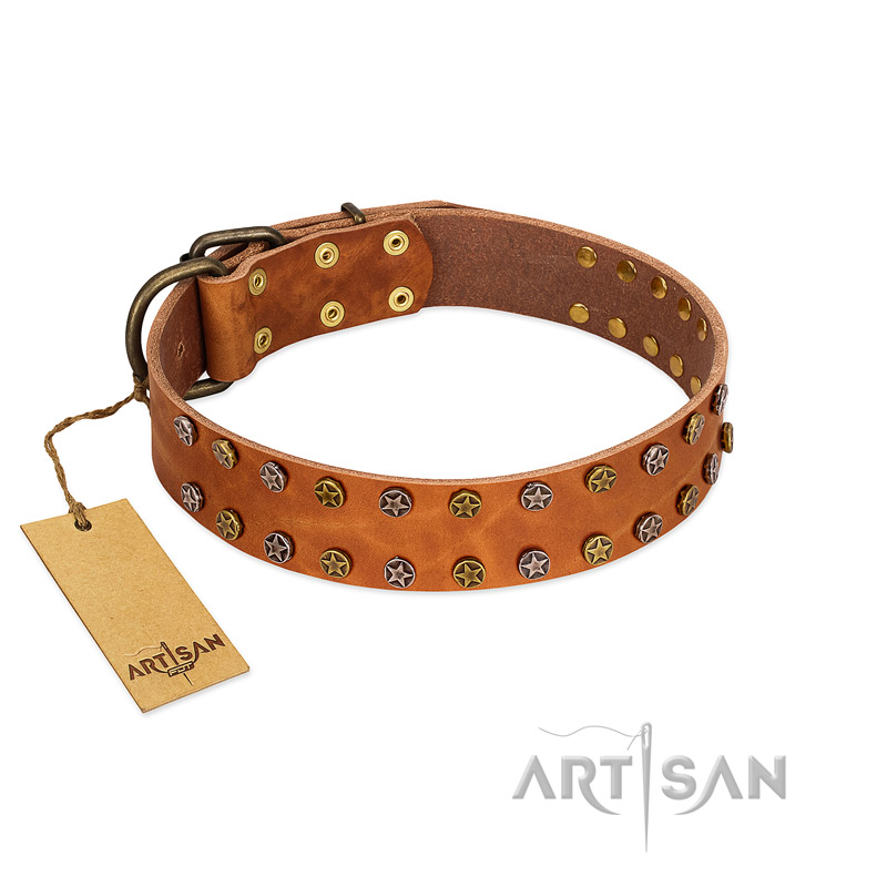 "Walk and Shine" FDT Artisan Tan Leather Dogue de Bordeaux Collar with Antiqued Studs