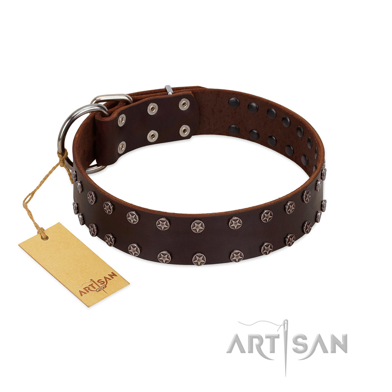 "Star Party" Handmade FDT Artisan Brown Leather Dogue de Bordeaux Collar with Silver-Like Studs
