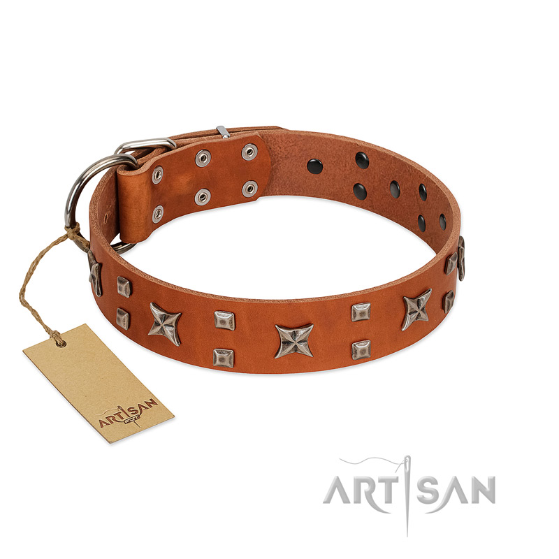 "Faraway Galaxy" FDT Artisan Tan Leather Dogue de Bordeaux Collar Adorned with Stars and Squares