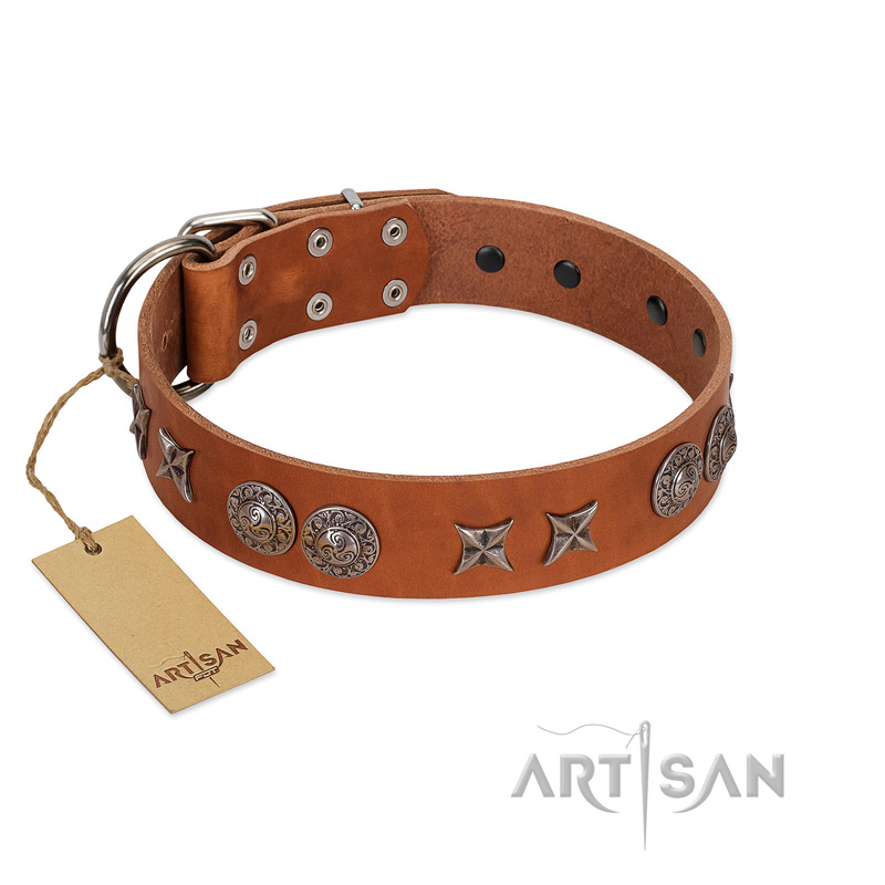 "Splendid Armor" Premium Quality FDT Artisan Tan Designer Dogue de Bordeaux Collar with Shields and Stars