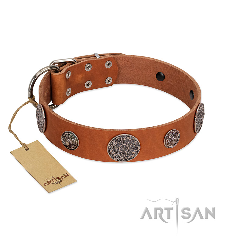 "Foxy Nature" FDT Artisan Tan Leather Dogue de Bordeaux Collar with Chrome Plated Brooches