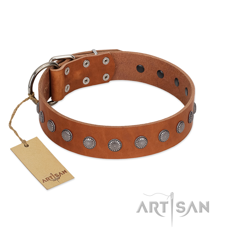 "Little Floret" Fashionable FDT Artisan Tan Leather Dogue de Bordeaux Collar with Silver-Like Adornments