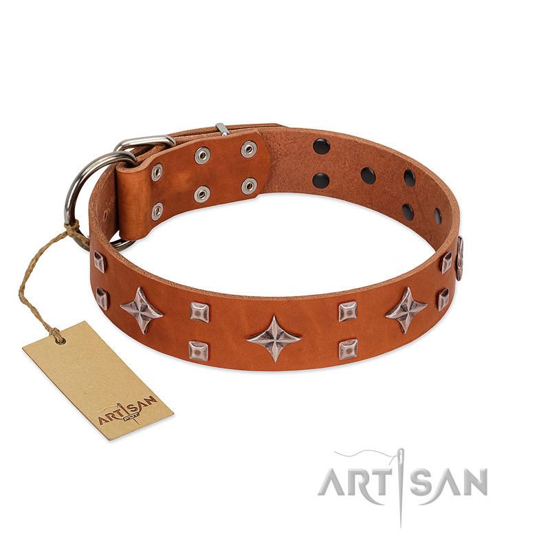"Tawny Beauty" FDT Artisan Tan Leather Dogue de Bordeaux Collar Adorned with Stars and Tiny Squares