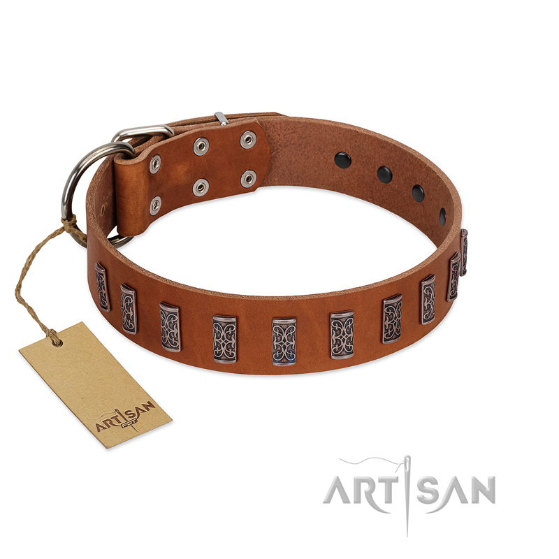 "Silver Century" Fashionable FDT Artisan Tan Leather Dogue de Bordeaux Collar with Silver-Like Plates - Click Image to Close